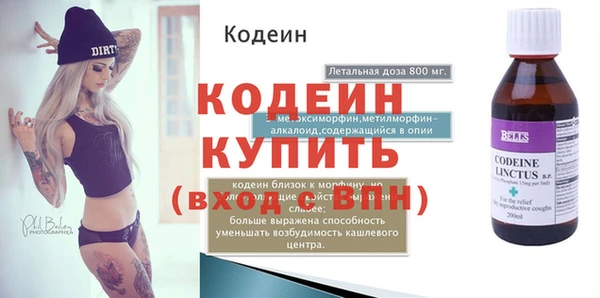 крисы Коряжма