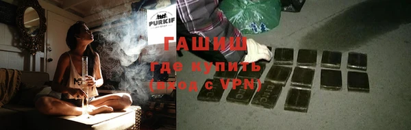 крисы Коряжма