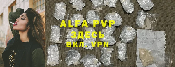 молекула духа Козловка