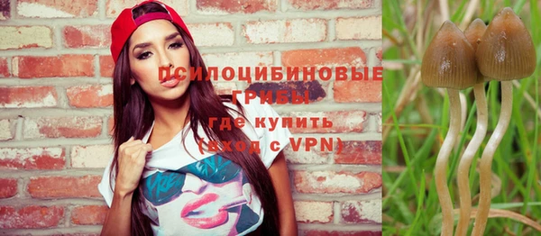 молекула духа Козловка