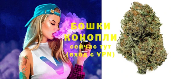 крисы Коряжма