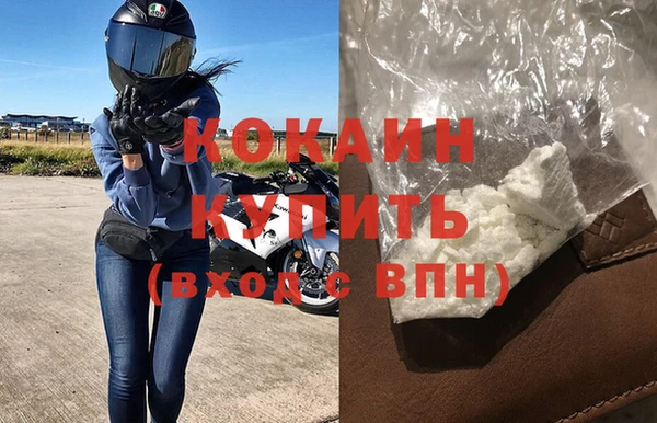 молекула духа Козловка