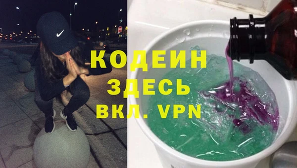 крисы Коряжма