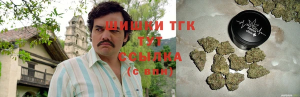 крисы Коряжма